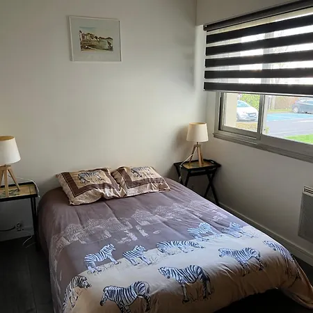 아파트 Zenith Stade Parc Expo Palais Des Sports, 2ch 4pers Parking