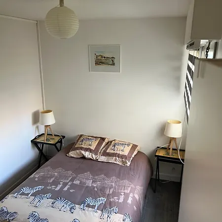 Zenith Stade Parc Expo Palais Des Sports, 2ch 4pers Parking Lägenhet