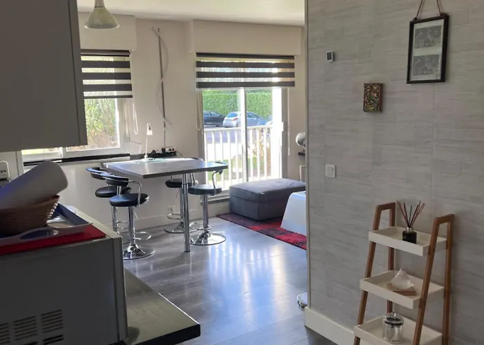 Zenith Stade Parc Expo Palais Des Sports, 2ch 4pers Parking Apartment *