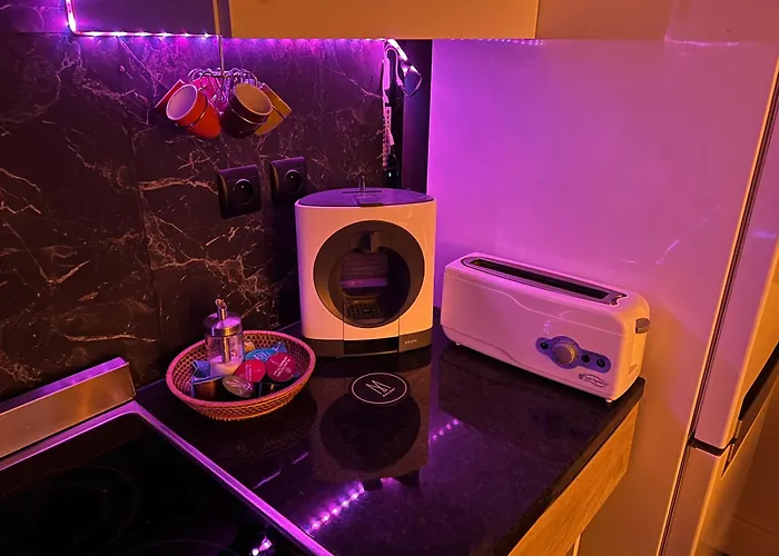 Zenith Stade Parc Expo Palais Des Sports, 2ch 4pers Parking Apartament