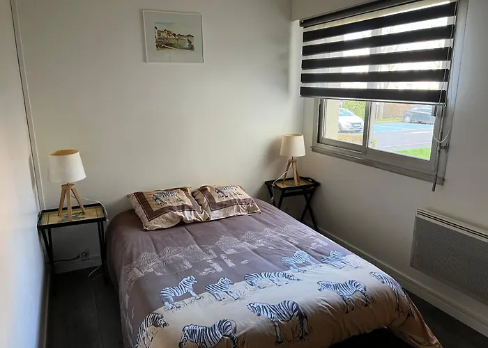 Apartament Zenith Stade Parc Expo Palais Des Sports, 2ch 4pers Parking