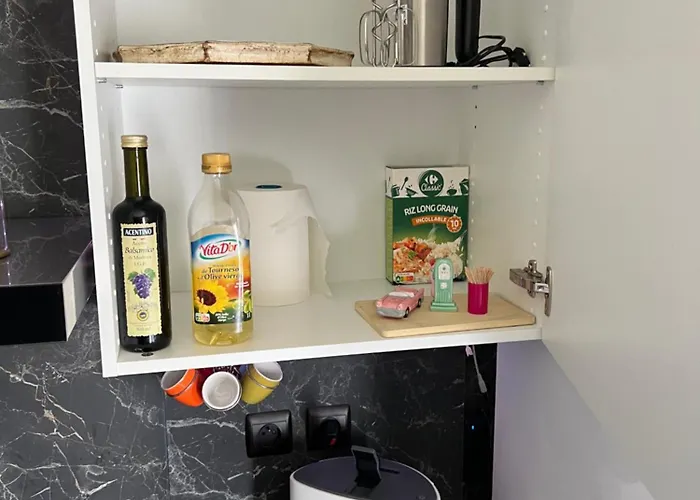 Zenith Stade Parc Expo Palais Des Sports, 2ch 4pers Parking Apartment *