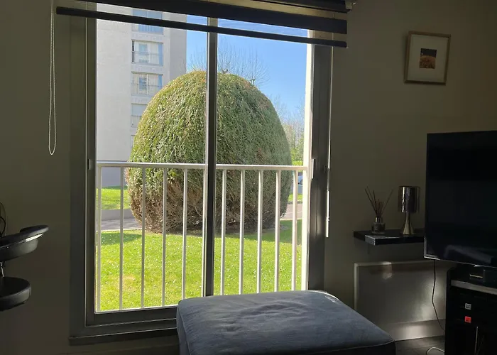 Zenith Stade Parc Expo Palais Des Sports, 2ch 4pers Parking 아파트